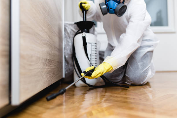 Best Pest Control Near Me  in South Patrick Shores, FL