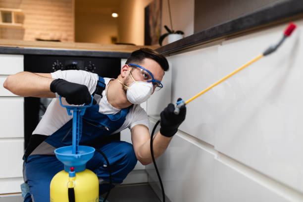 Trusted South Patrick Shores, FL Pest Control Experts