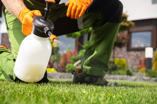 Best Termite Control Services  in South Patrick Shores, FL