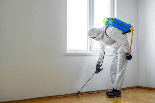 Best Rat Extermination Near Me  in South Patrick Shores, FL