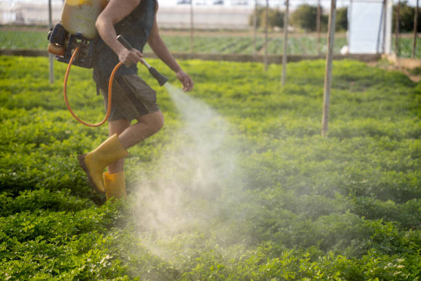Best Best Pest Control Companies  in South Patrick Shores, FL