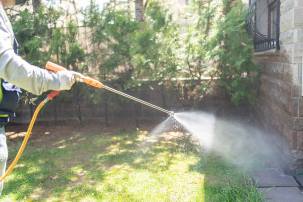 Best Best Pest Control Companies  in South Patrick Shores, FL