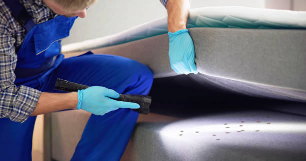 Best Affordable Pest Control Services  in South Patrick Shores, FL